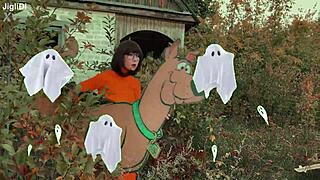Velma went to solve the mystery with scooby doo in costumes.