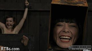 Four angels in tiny cage 😊