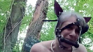 On September 4, 2024, the female slave acts as a ponygirl in the forest.