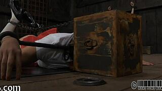 Four angels in tiny cage 😊