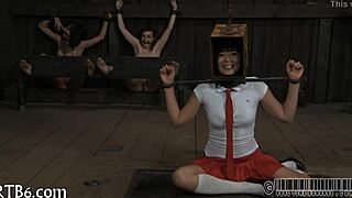 Four angels in tiny cage 😊