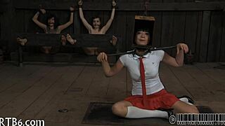 Four angels in tiny cage 😊