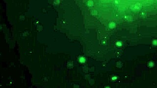 eternum 168 game exploration