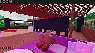 Starting over with new adventures