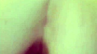 Black Bulls Bunny Ravishing Ray Main Bunny In Homemade Fun