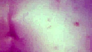 Black Bulls Bunny Ravishing Ray Main Bunny In Homemade Fun