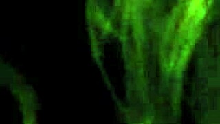 Milf Swallows Facial Cum In Pov Oral Video