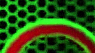 Big titty cougar sara jay drains a monster cock with her mature muff