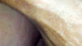 Forbidden desires that ignite the imagination!