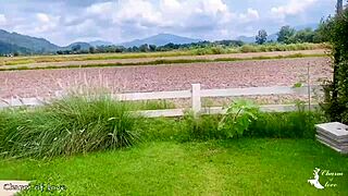Feeling serene while bathing in the rice field