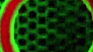 Wow, richelle ryan gets jizzed while rome major fucks that big ass milf