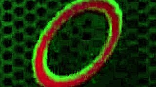 Sizzling smooches with Jenna Sativa and Penny Pax in red ignite lesbian passion