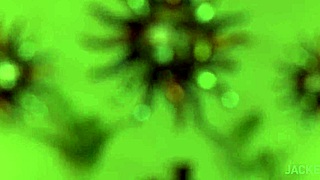 Madre convence a su hijo de follar