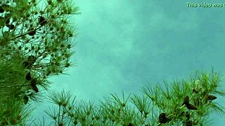 The Oakland couple is looking for their next group sexual adventure