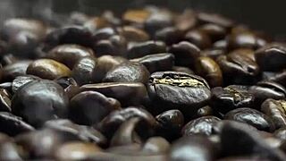 Asian Latina Lina Nakamura Caught Having Street Sex with Big Cock John Coffee