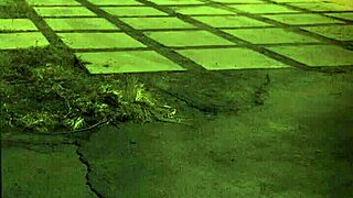 outdoor fuck first time unless youre from the sixties and dig that