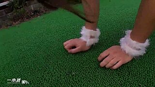 greedy haru nyan trained