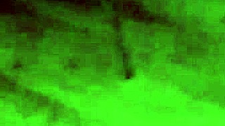 Latina babe sucks dick!