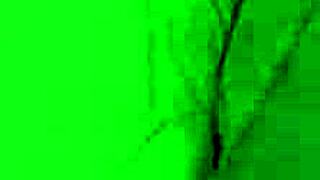 i'm the brunette yoga babe barely fitting a big cock in my mouth