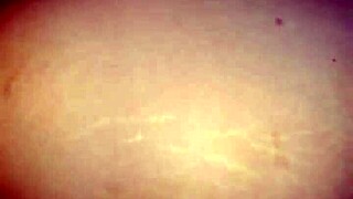 Fuck my wife in this hotel room!