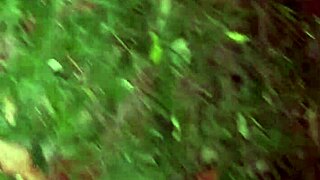 Will Novinha Show Pussy For Pix?