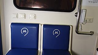 Public Train Car Sucking And Fucking