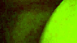 White cock rams a big ebony ass deepthroat