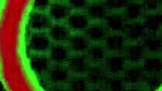 Bobbi Eden enjoys some intense cunnilingus and more!