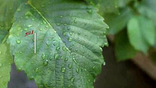 Flexible blonde babe enjoys intense ass fucking with various positions.