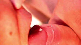 This is a collection of cumshots