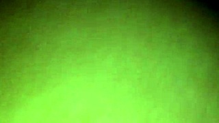 Good Doggie Style Training