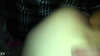 Good Doggie Style Training