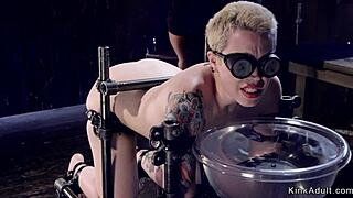 Blonde In Doggy Bondage Gets Caned