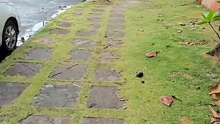 Morning walk in leggings and tight clothes