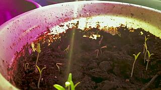 Can You Imagine This Beautiful Sexy Girl Fingering Her Pussy So Deeply?