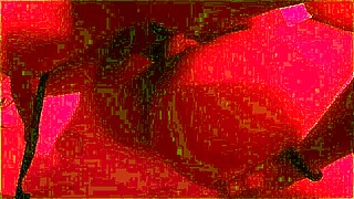 fodendo uma gostosa que eu conheci na praia morena da raba grande - pov