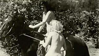 Vintage taboo pussy and beaver outdoors 😏