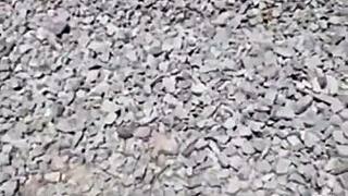 fisherman catches runaway stripper for a dirty golden shower