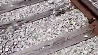 fisherman catches runaway stripper for a dirty golden shower