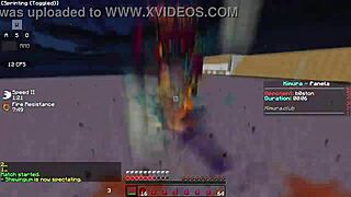 Tringed versus Brasil 3