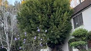 The Free Sfw Version Of My First Ever Pornlog