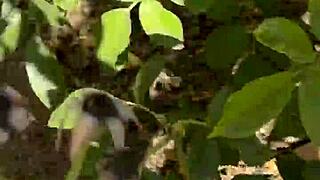 The Free Sfw Version Of My First Ever Pornlog