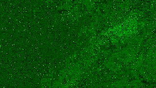 crazy girl pees in panties on public beach