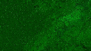 crazy girl pees in panties on public beach