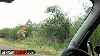 Big Black Booty Ebony Pussy Stretched Wide Pov By Hung American Boyfriend