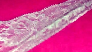 Mature Woman Feels Deep Thong Fucking