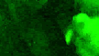 Bbw Sucks Huge Monster Dick