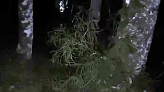 scarlet taylor and busty ebony juliana share monster cocks. in intense 4some blowjob session!