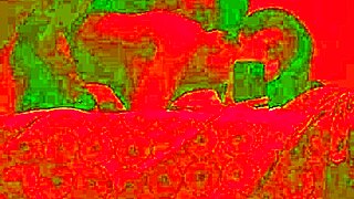 jantar de aniversário terminou com sexo apaixonado