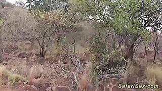 big tit african milf rough outdoor fucked!